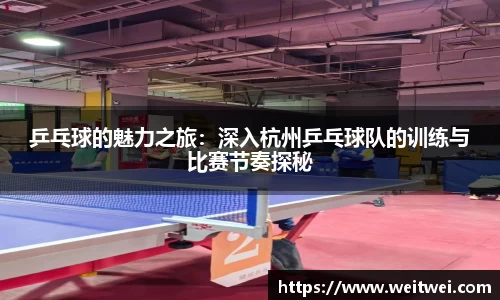 乒乓球的魅力之旅：深入杭州乒乓球队的训练与比赛节奏探秘